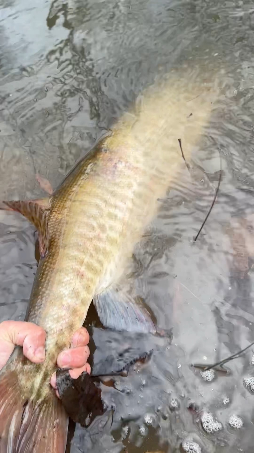 Reposting my tiktok vids until weather allows fishing haha - # ...