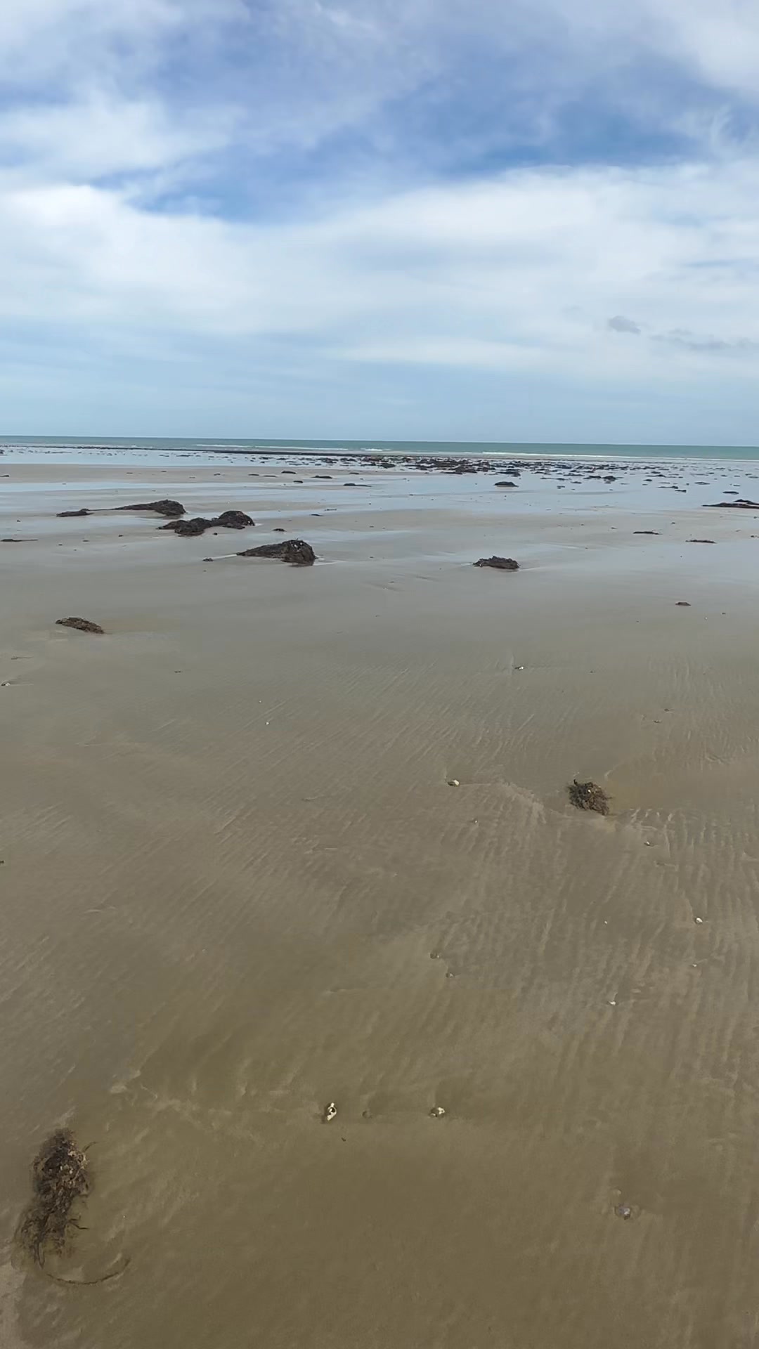 nz surfcasting