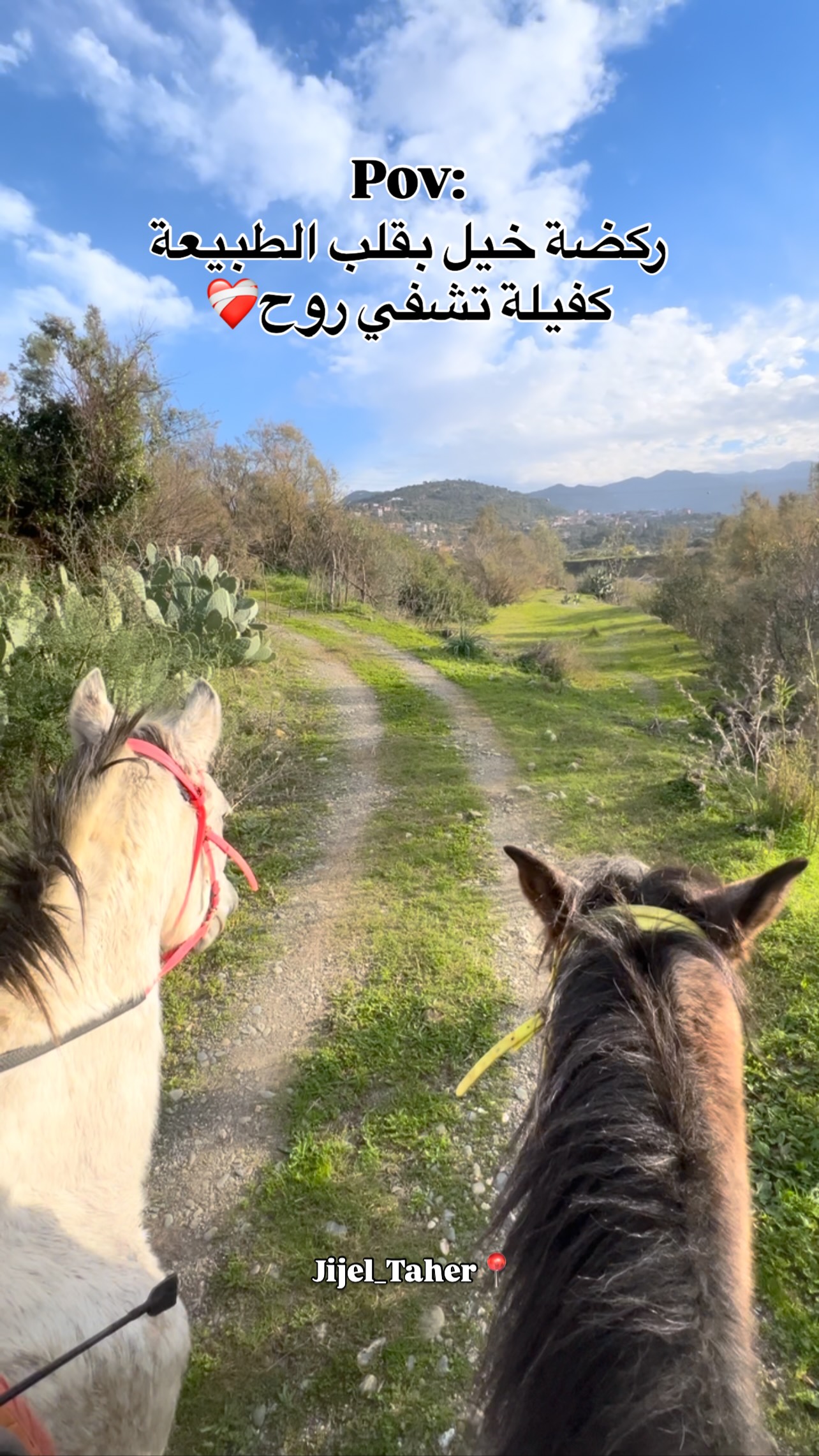هل انتم جاهزون 🐎😍 #جيجل_جوهرة_الساحل_الجزائري #خيل #مزرعة_الخيول ...