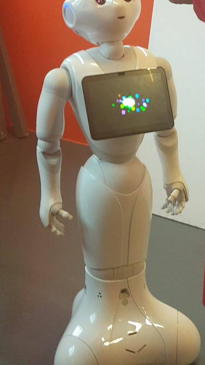 PROBO Robotics GMBH