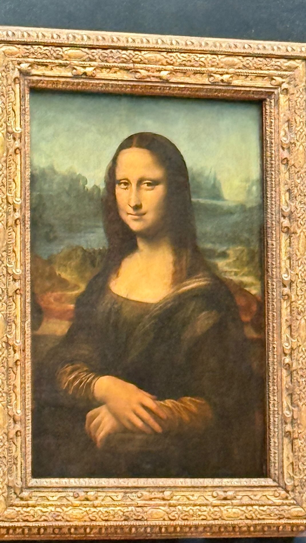 There she is! The Mona Lisa herself. Did you know the painting is