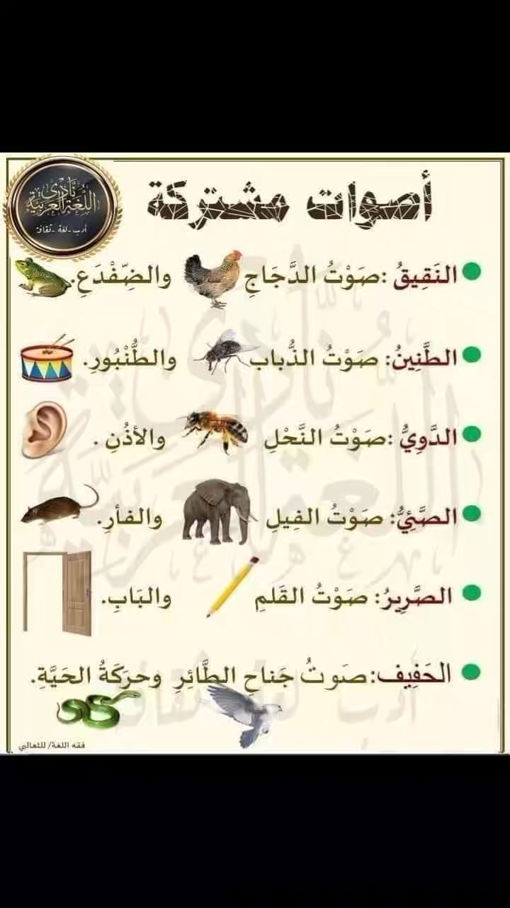 أصوات مشتركة. #اللغةـالعربية #اللغة_العربية #اللغةالعربية #نحو | نحب ...