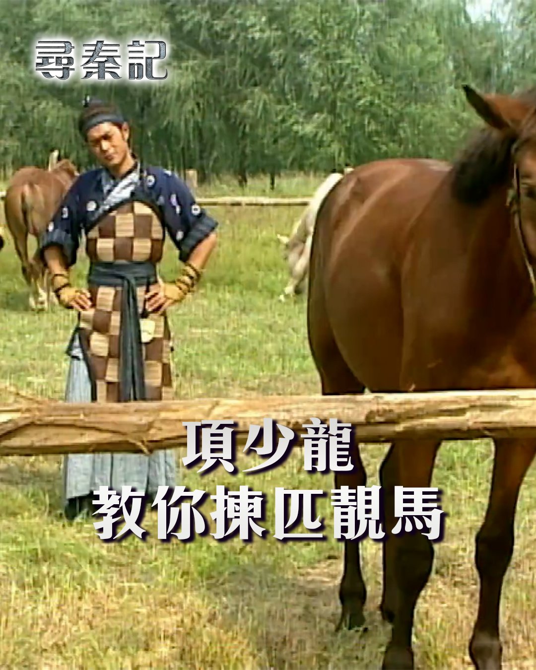 【尋秦記】項少龍教你揀匹靚馬 睇嚟項少龍(古天樂)以前經常喺沙田出入 #reels #TVB #尋秦記 #古天樂 #項少龍 #滕麗名 #善柔 ...