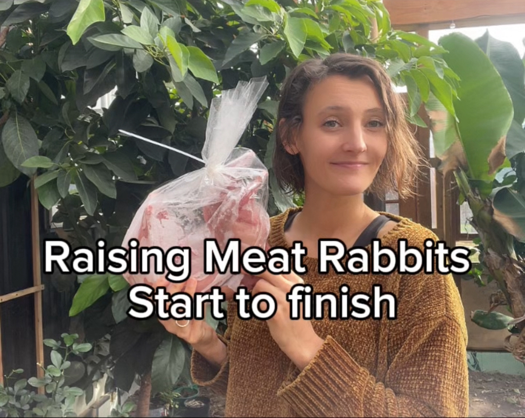 Raising meat rabbits has become one of the most affordable and reliable ...