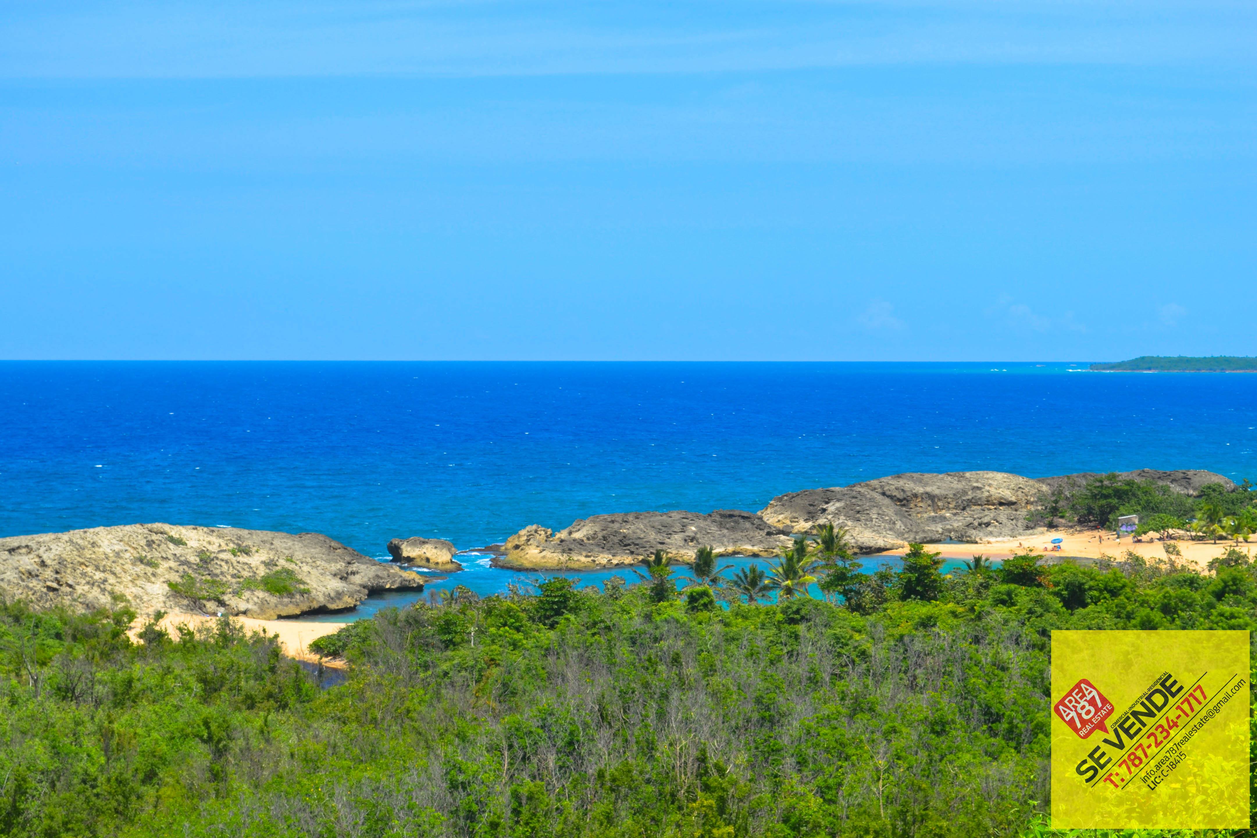 Area 787 Real Estate, Puerto Rico | Bayamon