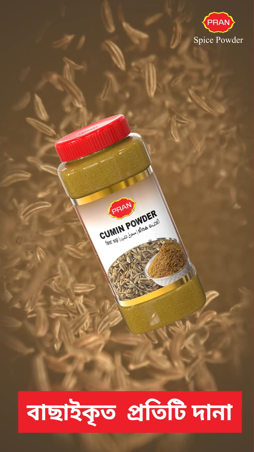 PRAN Spice Powder Arabia