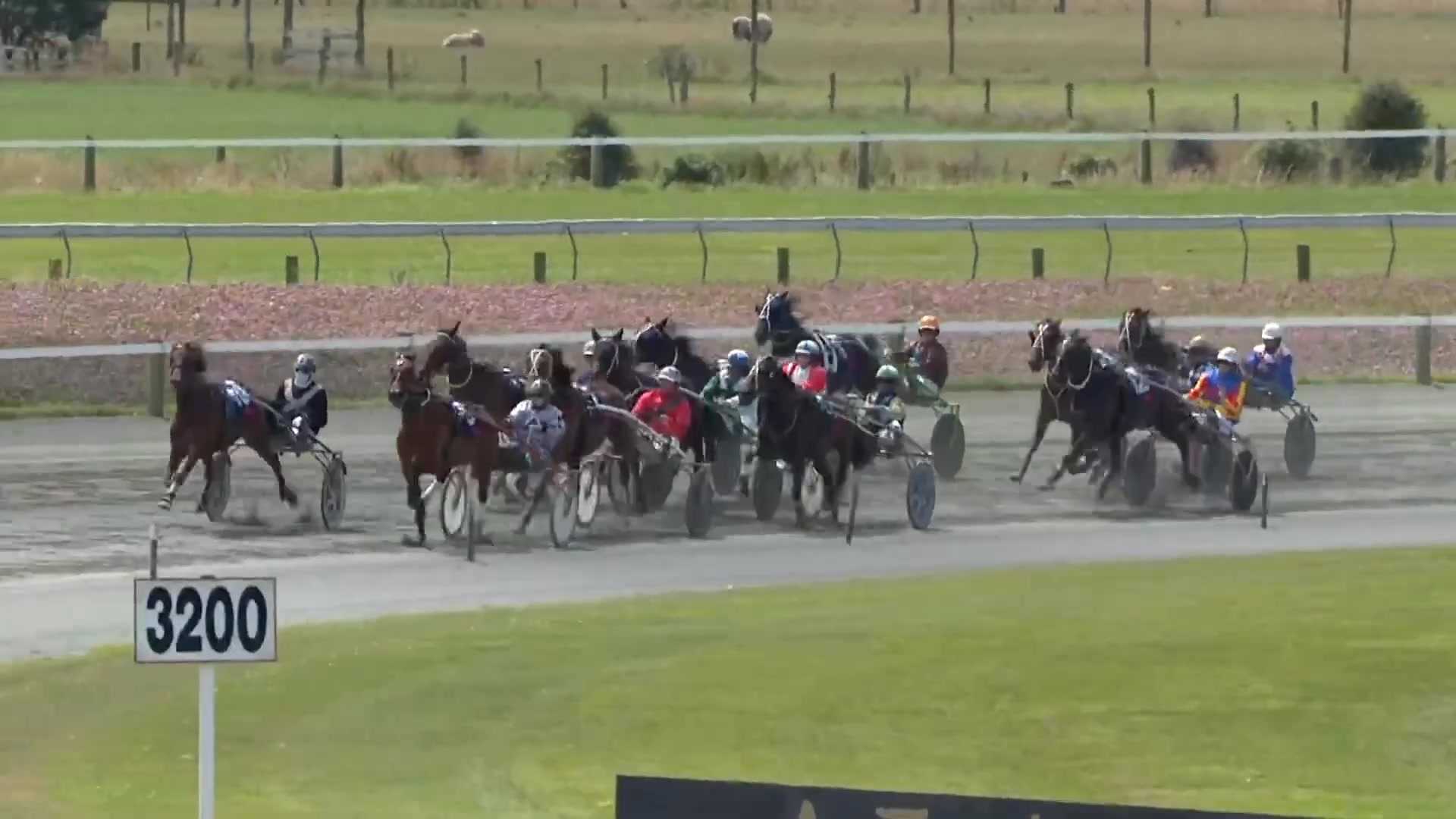 🏆 Wairio put on a great day for their cup meeting and we were thrilled ...