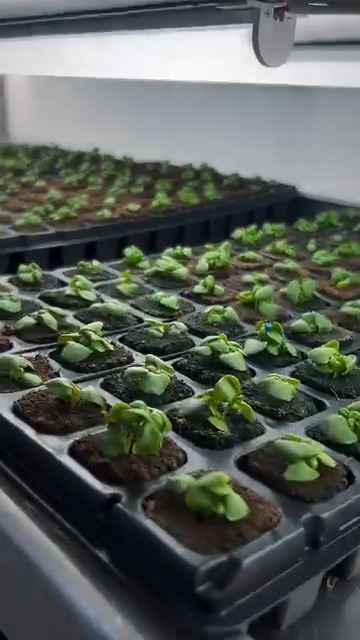 🌱 Now growing on campus! We’re excited to welcome a FarmBox to campus ...