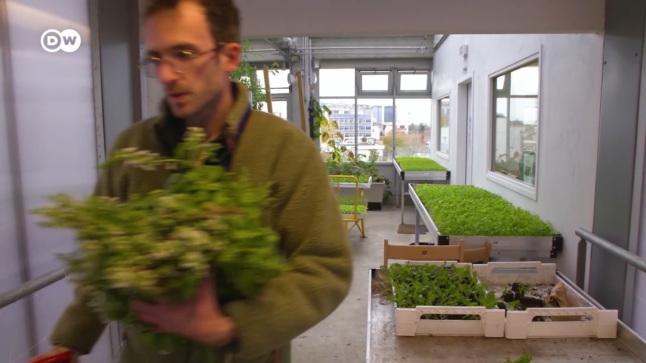 Projekt Cité Maraîchère u pariškom predgrađu Romainville na najbolji ...