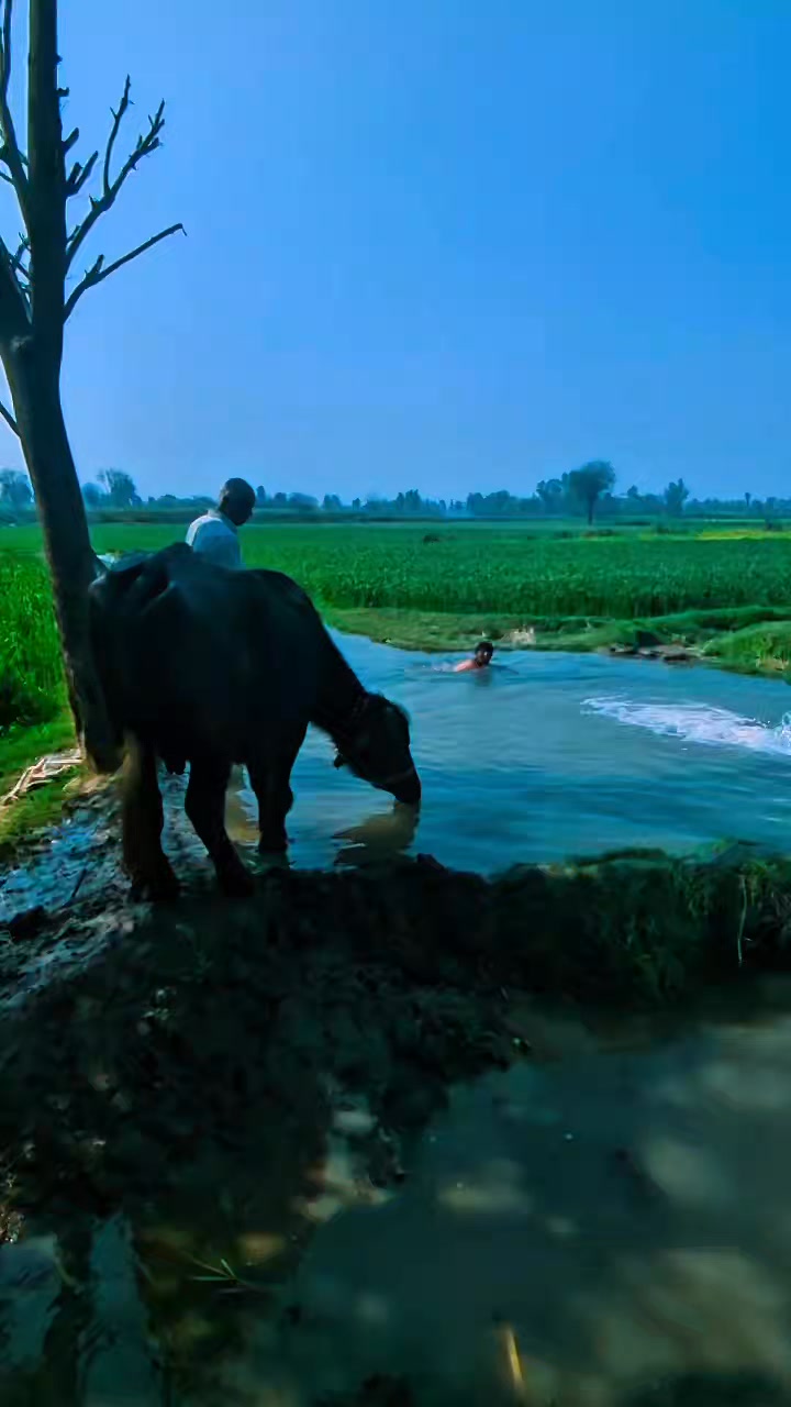 #village #villagelife #villagebeauty | Deehat Rang | Facebook