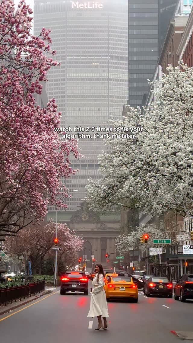 Spring blooms on Park Avenue, NYC 🌸🗽🌎🇺🇲