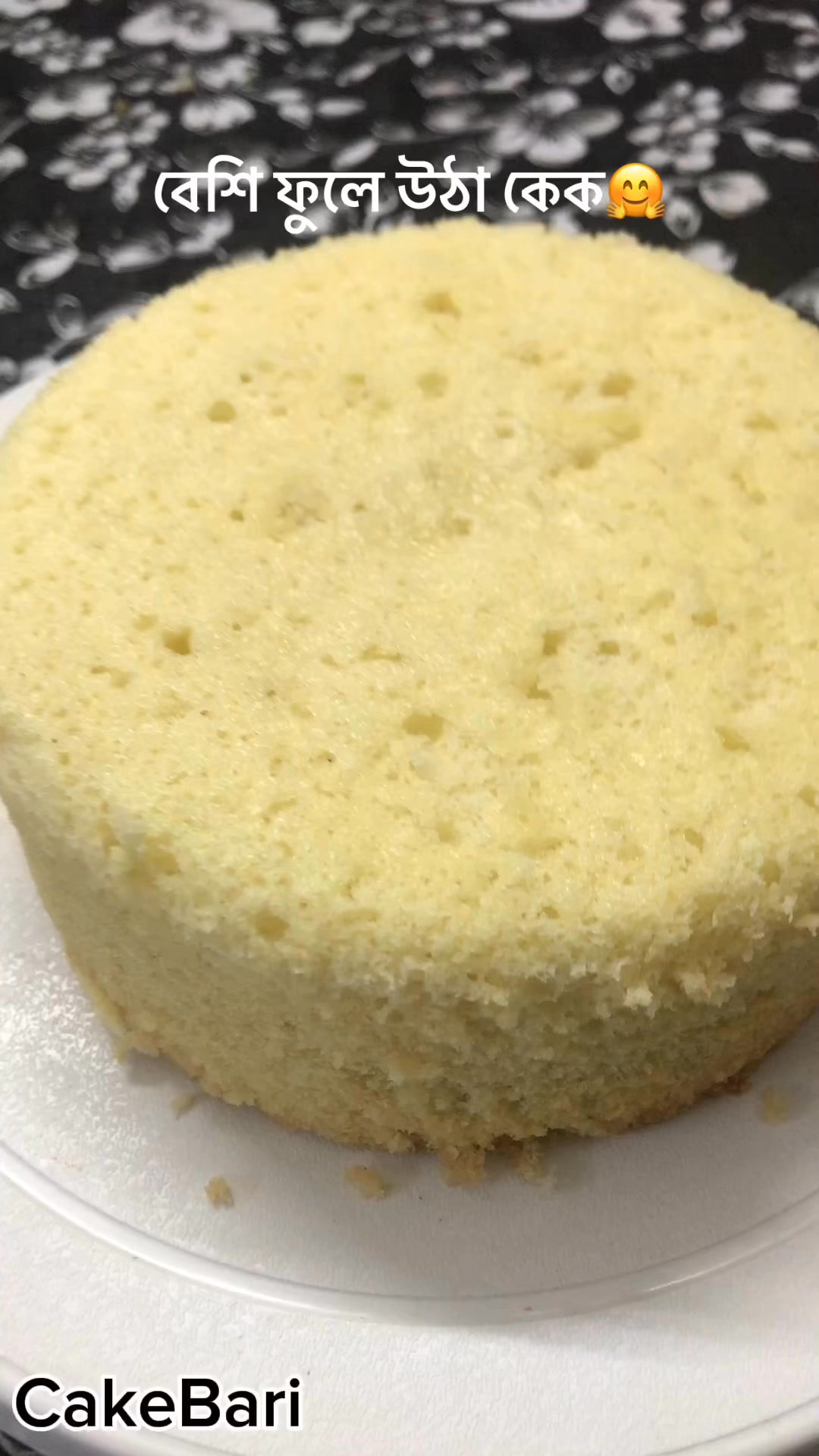 Cake Bari | Dhaka