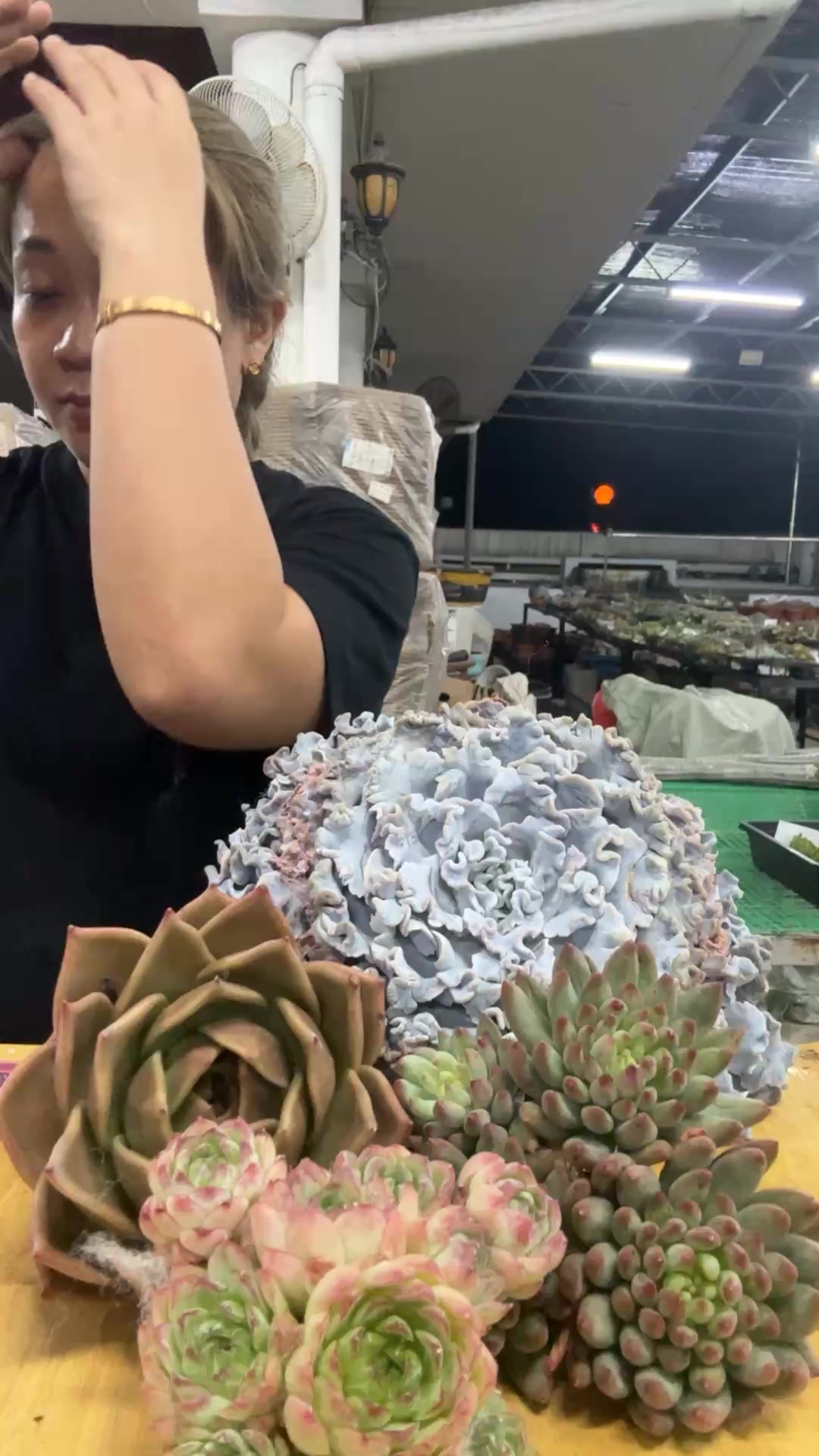 神仙玉