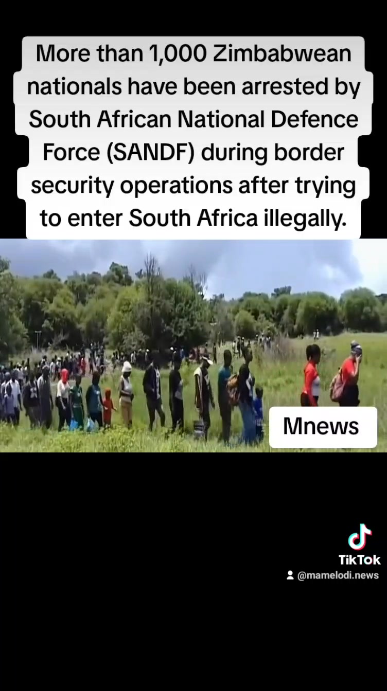 SHEBA: More than 1,000 Zimbabwean nationals have been arrested by South ...