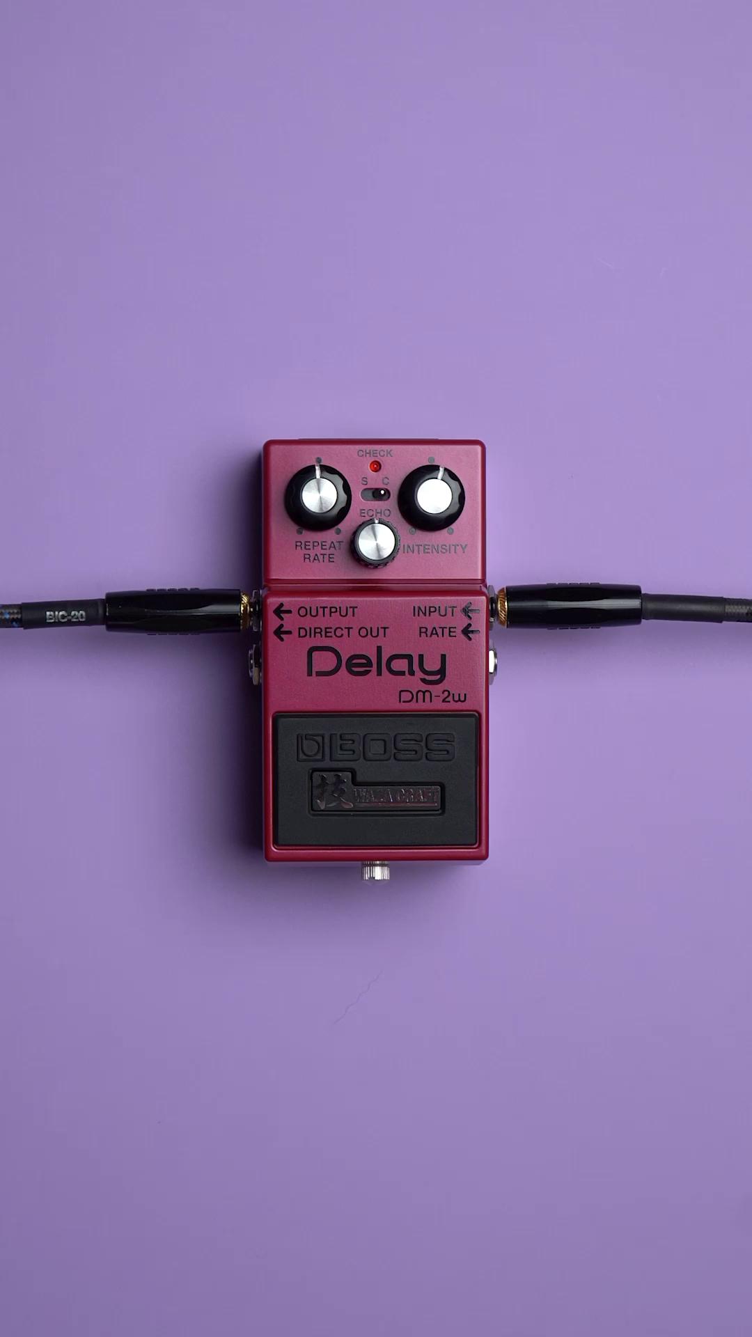 The BOSS Waza Craft CE-2W Chorus and DM-2W Delay are a match made
