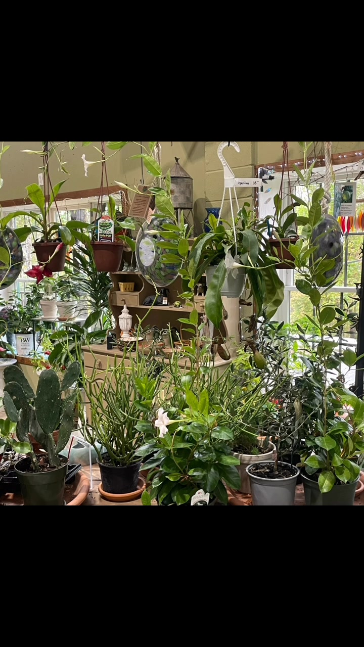 Victoria Gardens NY | Rosendale NY