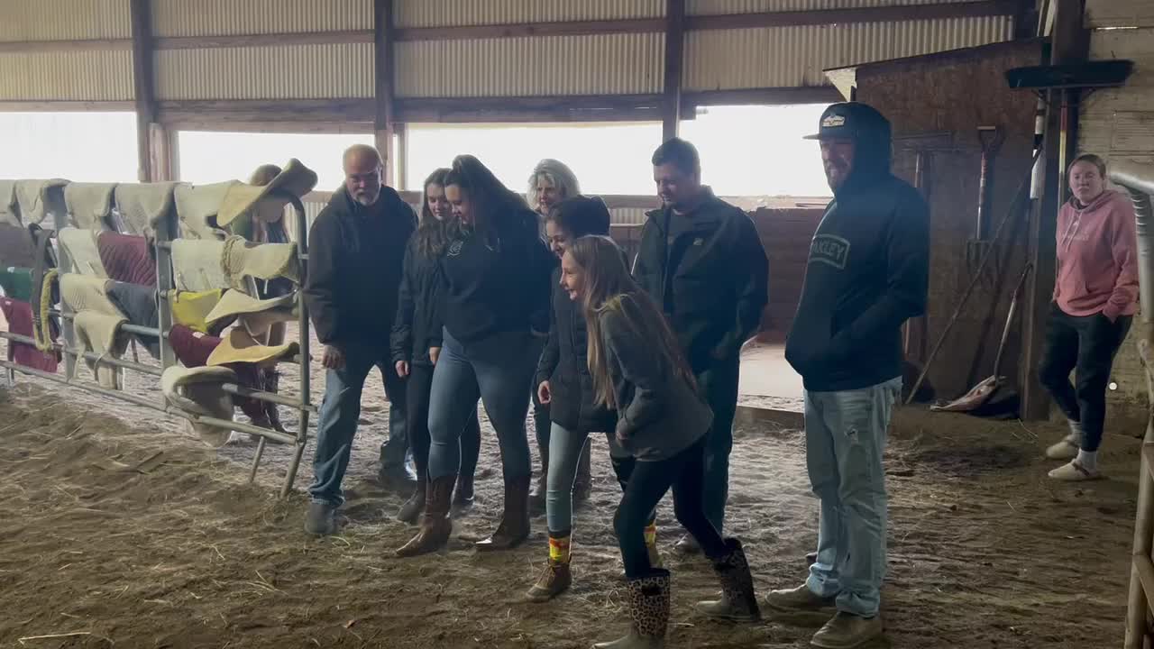 Pony Tail Ranch | Renton WA