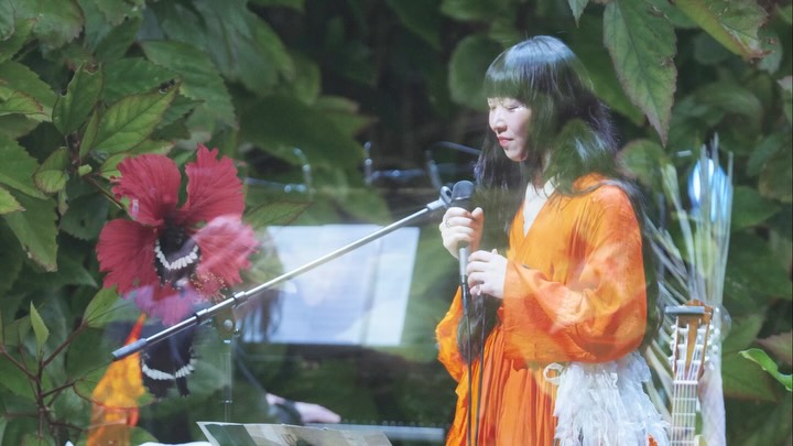 青葉市子 - Ichiko Aoba (@ichikoaoba.info) - Mentions | Facebook