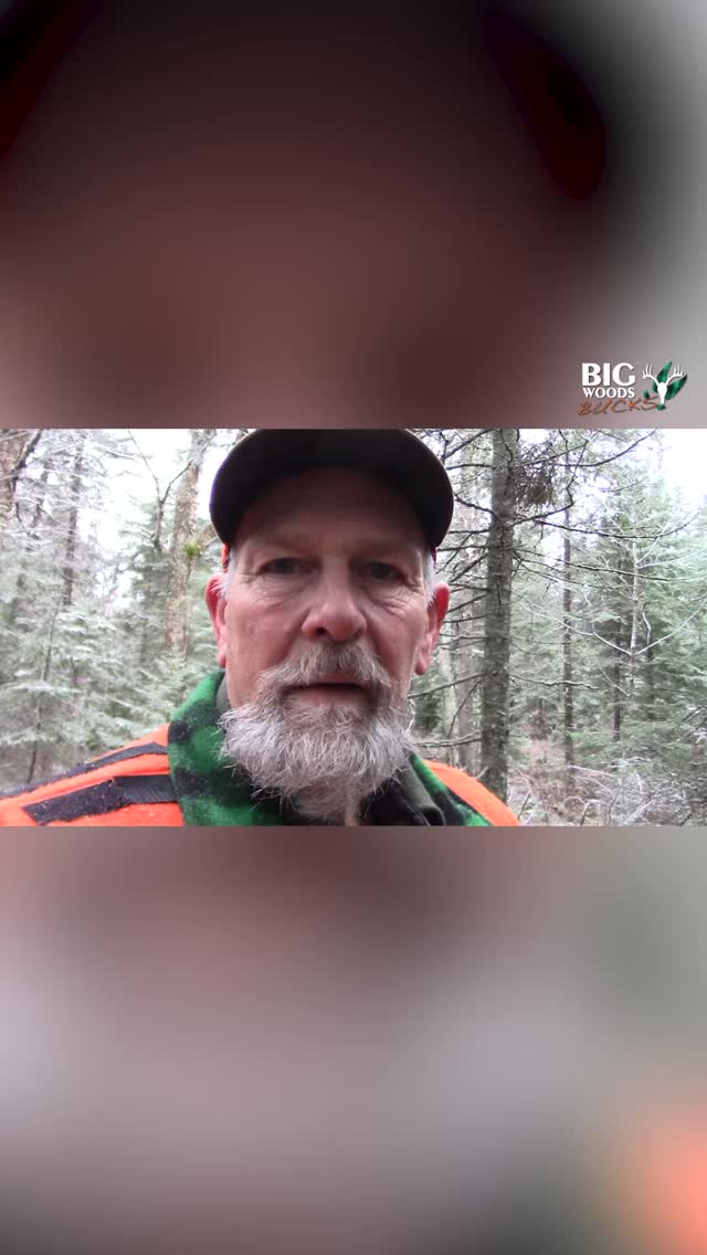 Hal finds what he is looking for! | Big Woods Bucks | Facebook