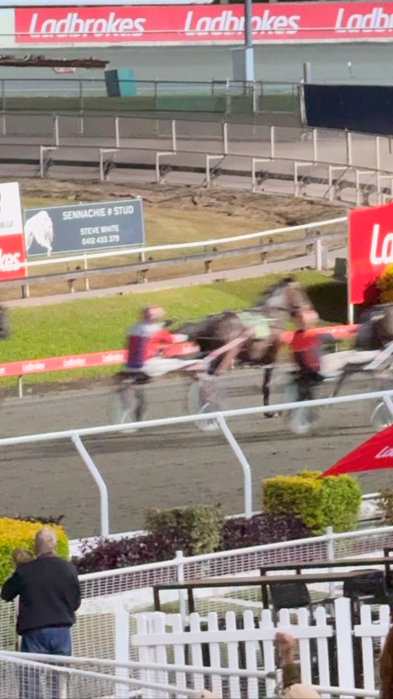 The second round of the 2025 Inter Dominion heats is underway at Albion ...