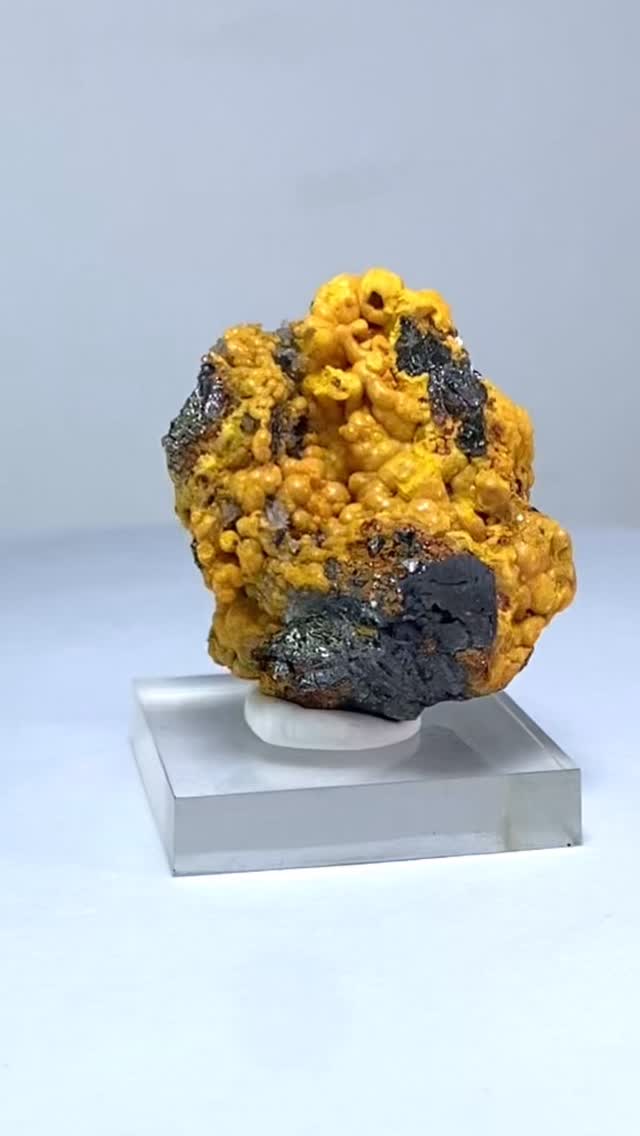 Orpiment Yellow Botryoidal crystals with red Realgar and Galena Palomo ...