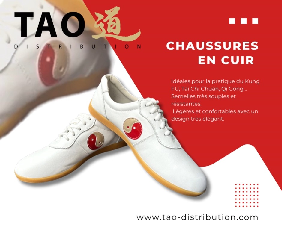 VEACAM - Chaussures D'arts Martiaux Pour Hommes, Légères Et Respirantes - Taekwondo, Kung Fu, Tai Chi