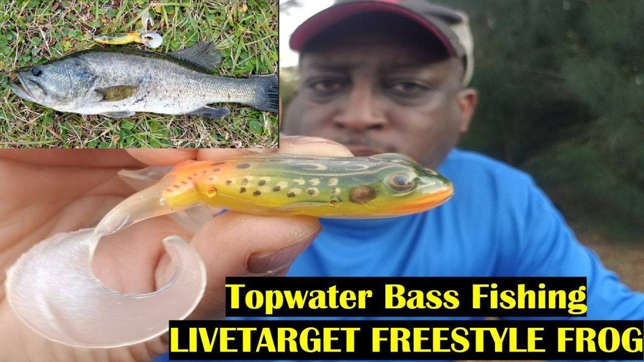 best fishing pole calssic Guide Select Classic GSC-C-902MH-CG Frabill Floating Trout Net The durable E Squirrel Tail Jig Sizes:1.5