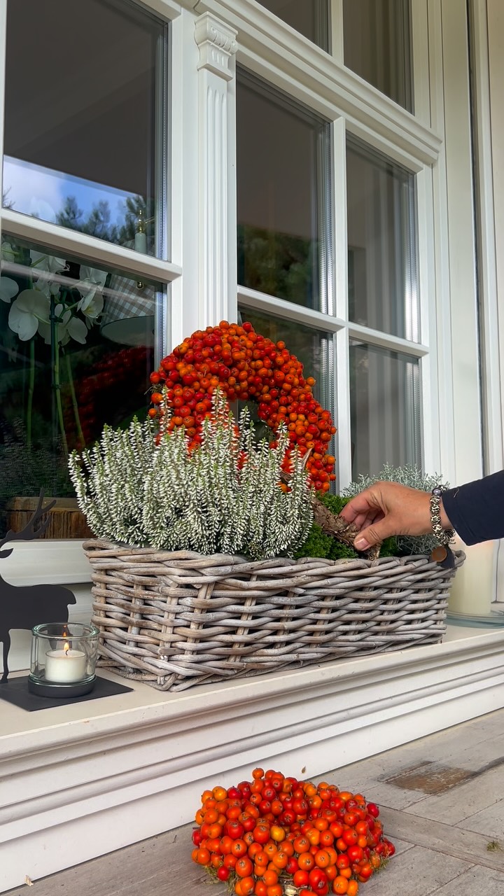 🍂🤎 So einfach lässt sich eine wunderschöne Herbstdeko zaubern!, Ein schöner Rattan-Blumenkasten ist doch schon die perfekte Grundlage für eine natürliche Herbstdekoration. Und schaut mal, was man
