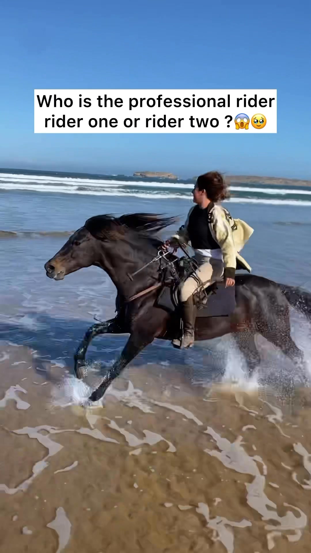 Who is the professional rider rider one or second rider ?😱🥹 #horse # ...