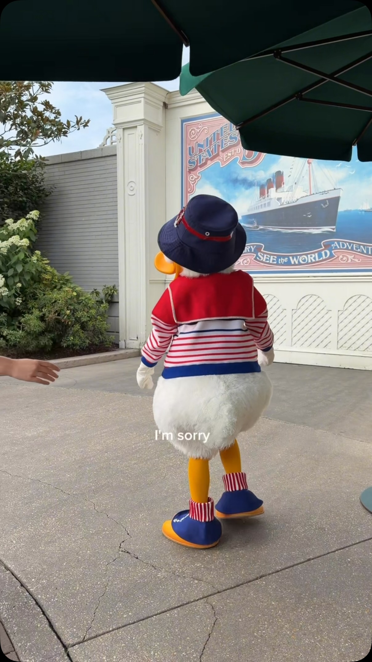 When you pinky swear with Donald Duck you can t break your  