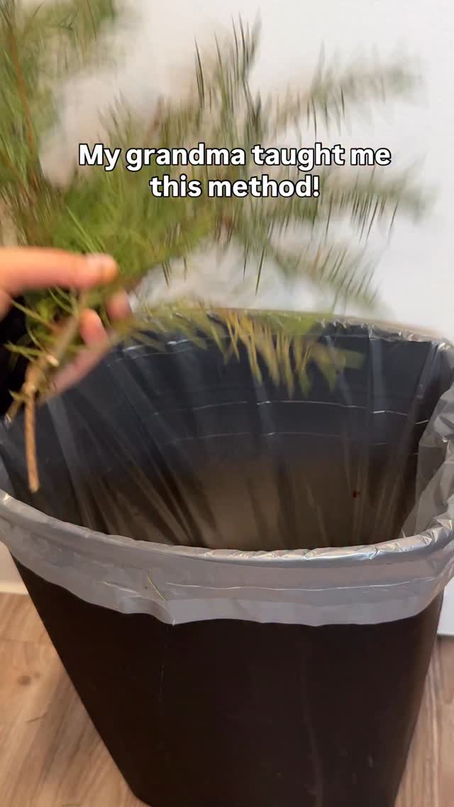 Don’t throw away Christmas tree branches 🌲 Turn them into something ...