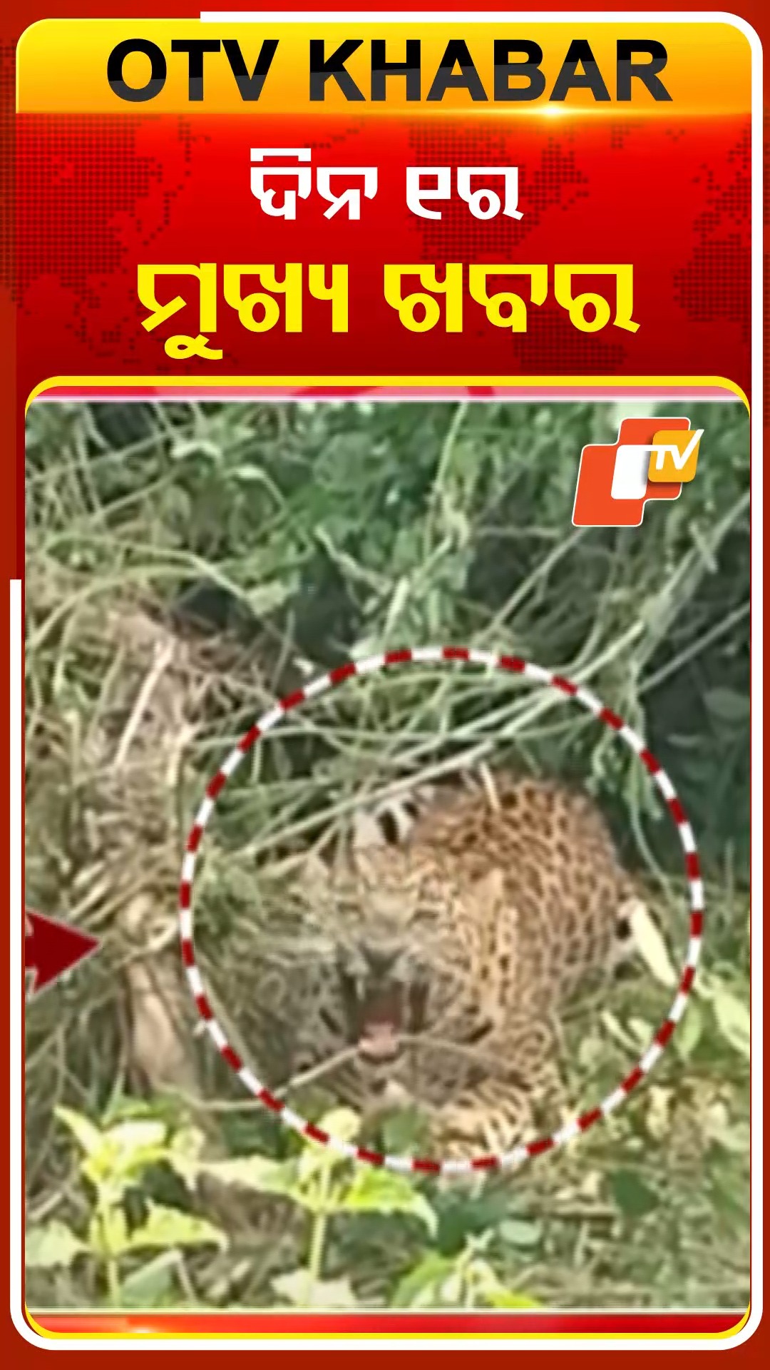 ଦିନ ୧ଟାର ବଡ଼ ଖବର #OdiaNews #OTV #OTVHeadlines #Headlines | OTV | Facebook