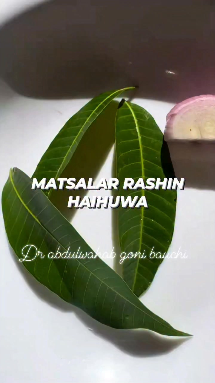 🛑 MATSALAR RASHIN HAIHUWA 👇: Dr abdulwahab goni bauchi 🗾 #fypシ #Aure # ...
