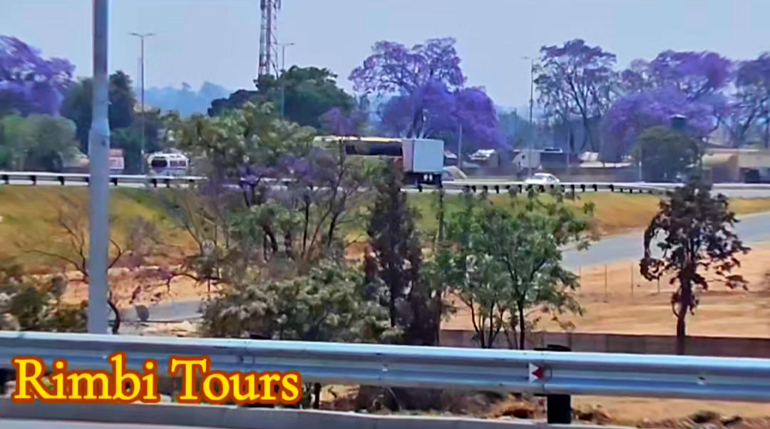 Did you know? Zhongtong Mega is the most common bus in Zimbabwe ...