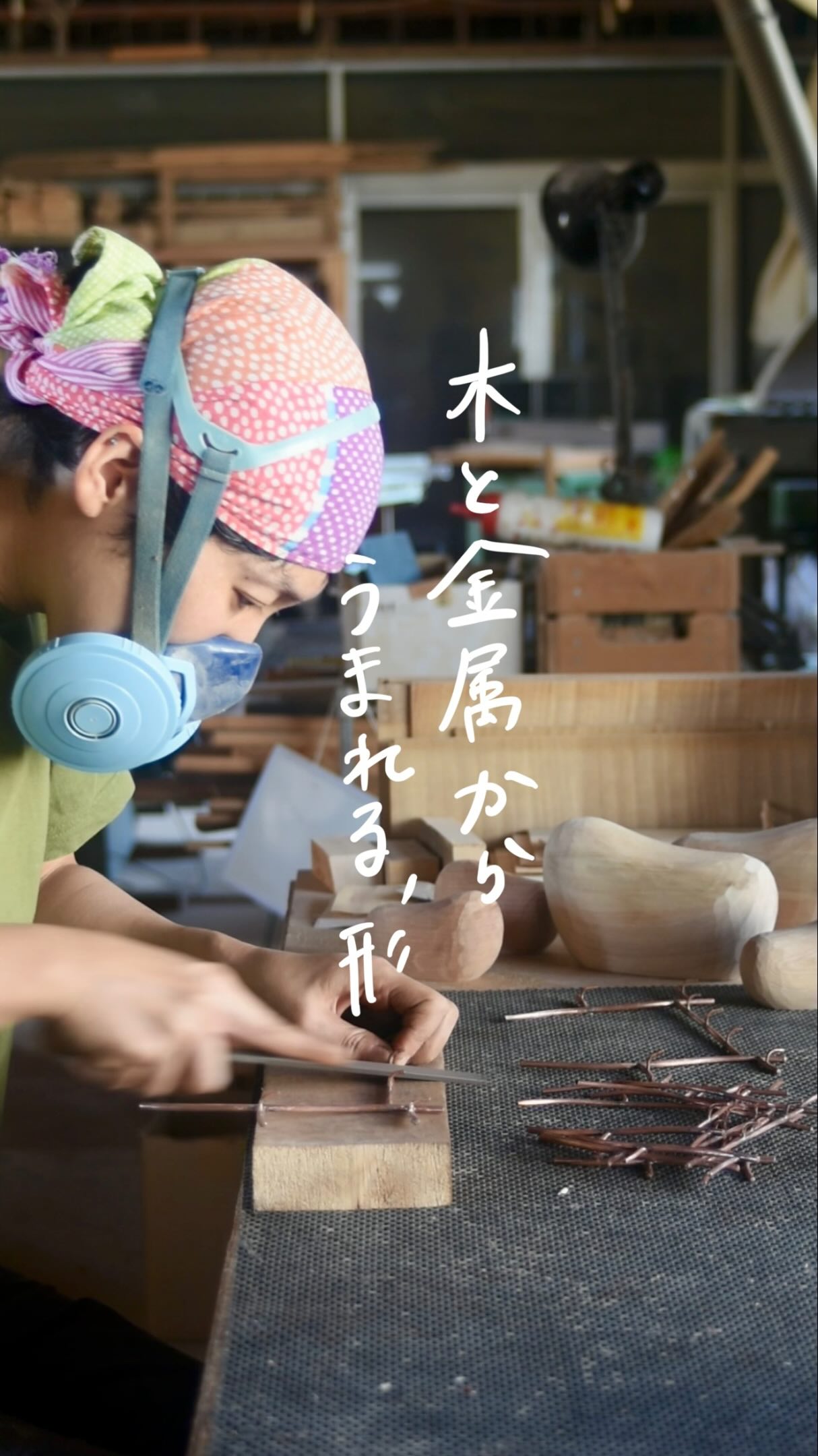 フジタマリ/ fujitamari