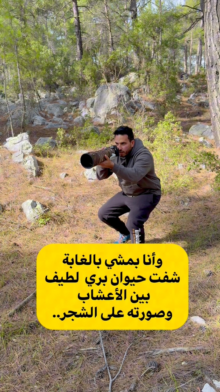 لأول مره اصور هذا الكائن اللطيف من هذا القرب .. حيث يصعب مشاهدته في هذه ...