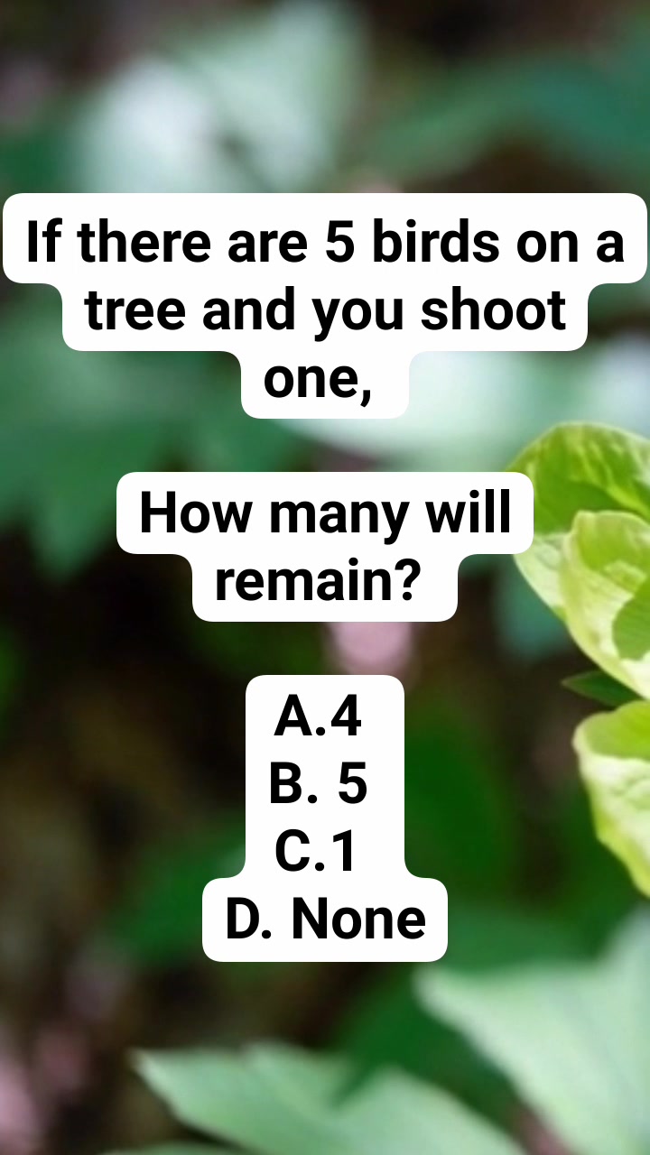 #riddle #brainteaserschallenge #riddlechallenge #riddlesforkids # ...