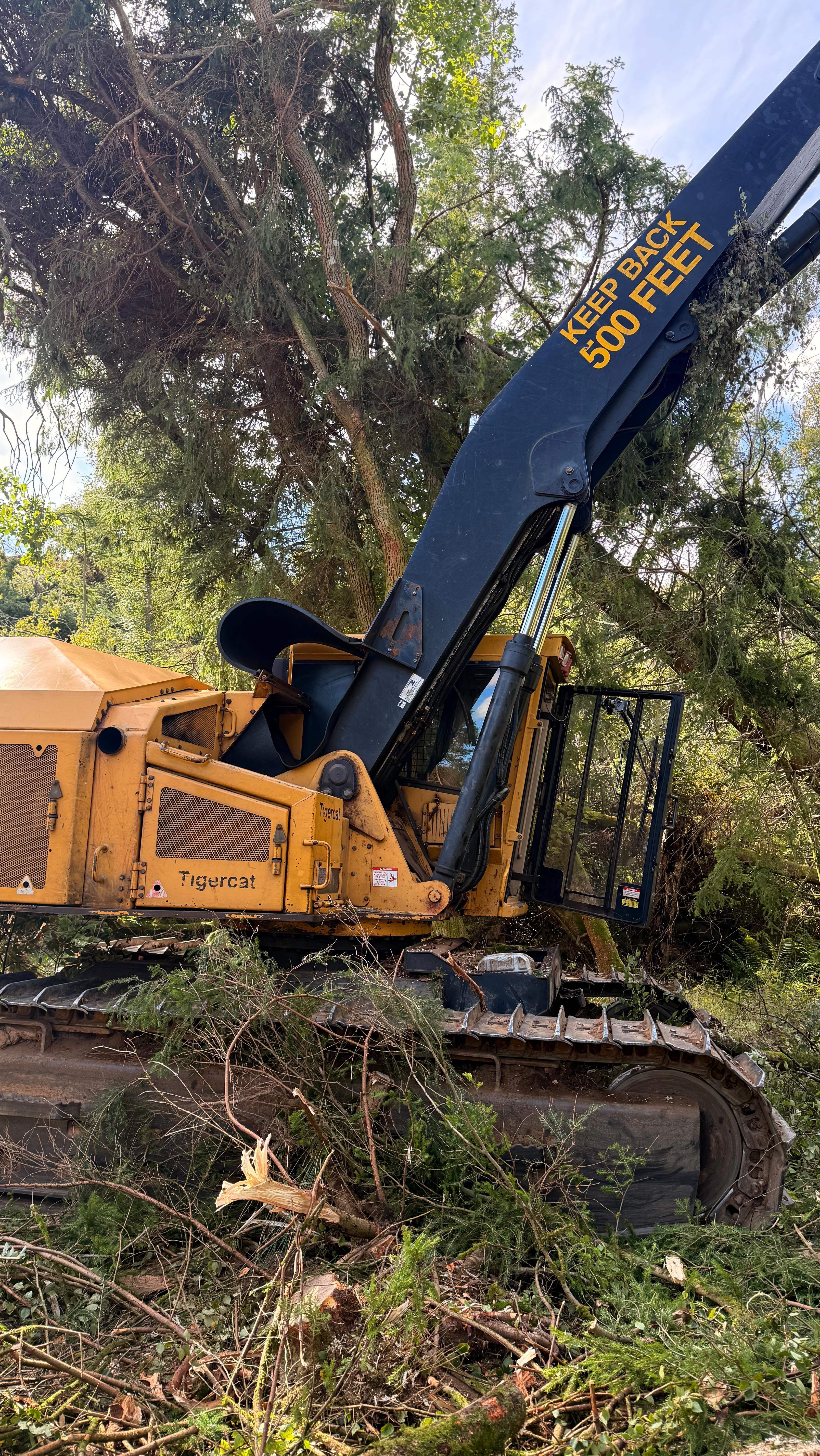 Logging machines operating for GMS Forestry in the Angus Glens, a very ...