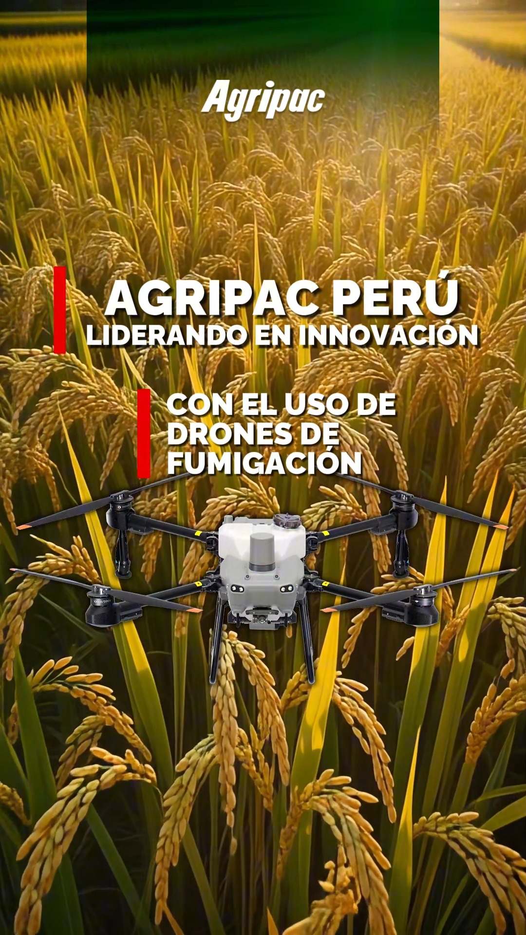 🚁🌾 ¡Mira la innovación en acción! En Agripac Perú llevamos la ...