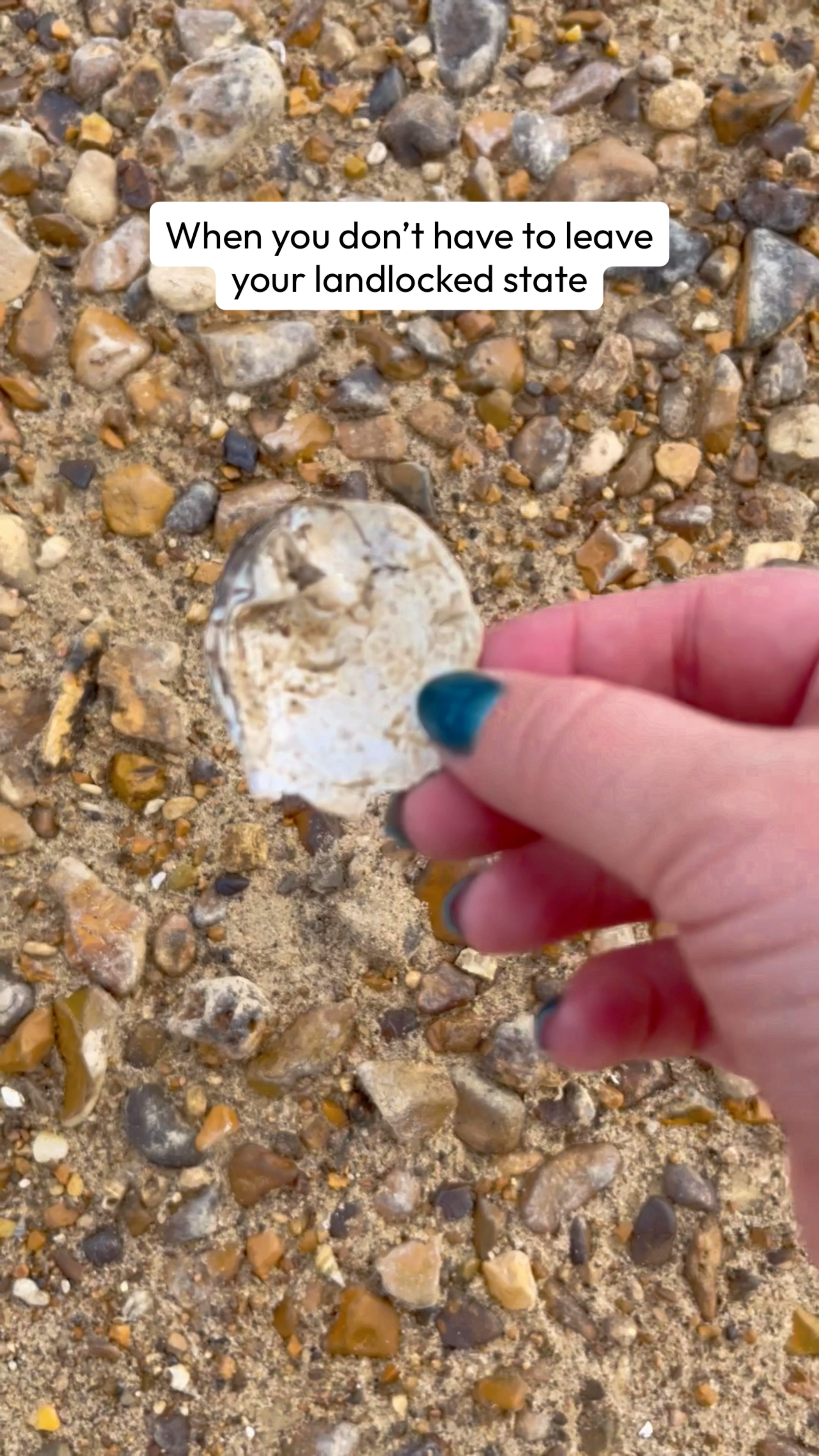 Shell hunting at Jacksonport where the White River meets the Black ...
