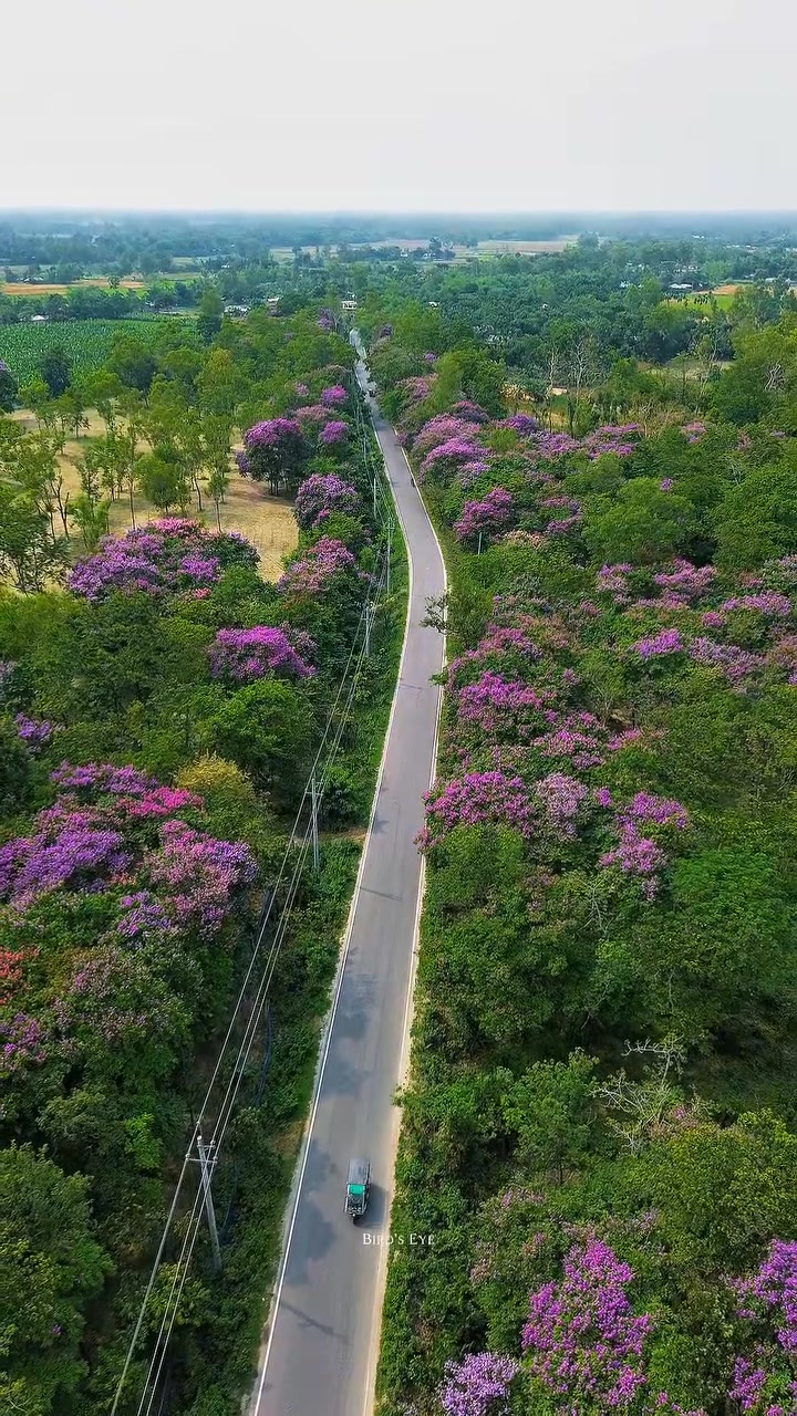  Beautiful country of Bangladesh 🥰 ️🫶 #beautifulcountry #Bangladesh # Illustration 