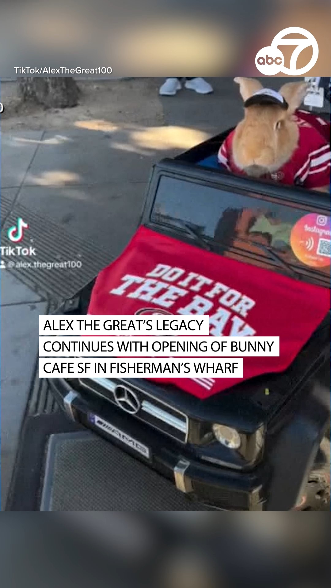 San Francisco's most famous rabbit has been honored with a new rescue ...