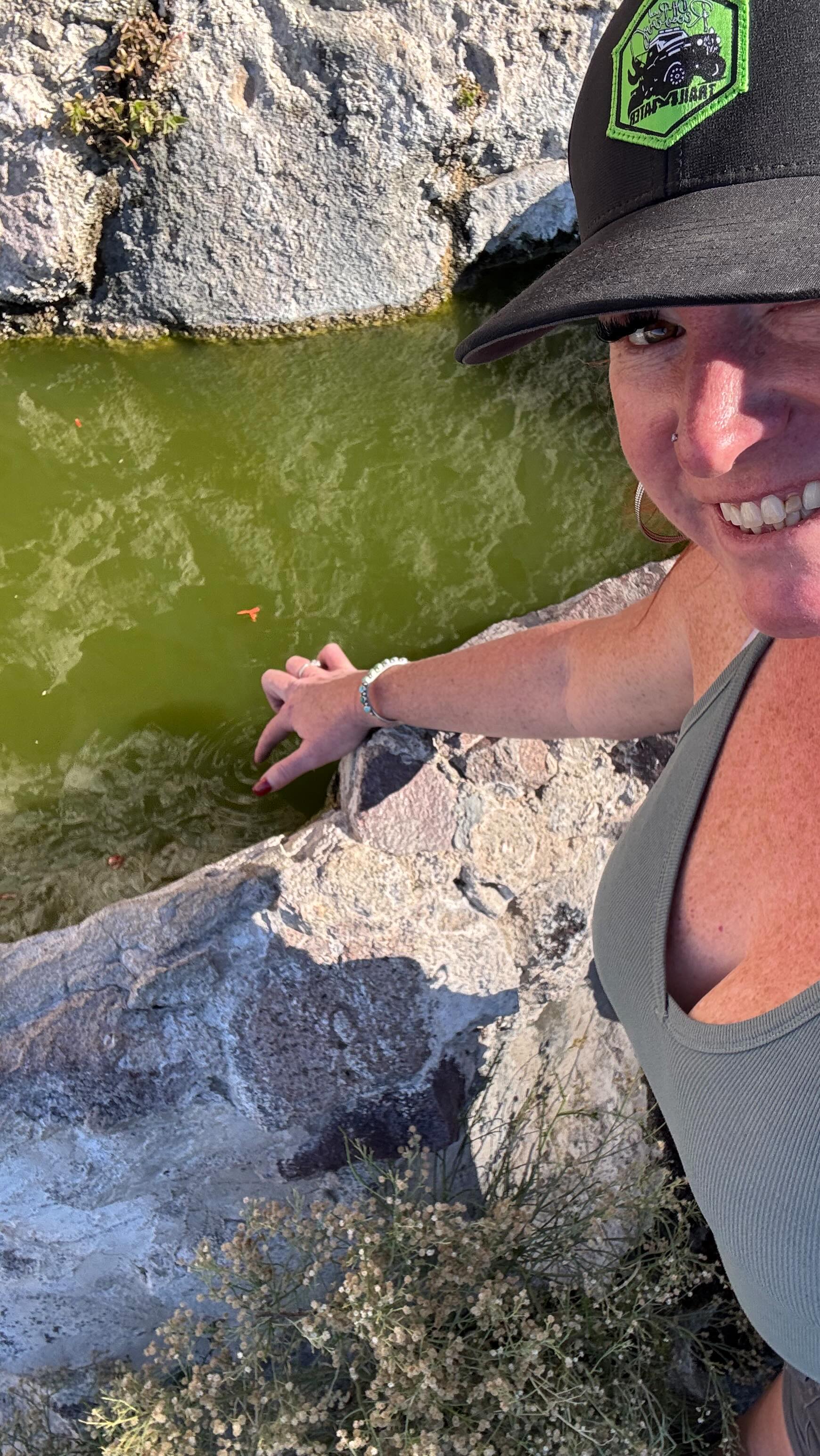 Shaffer Springs….on the way to Oatman…little spring on the side of the ...