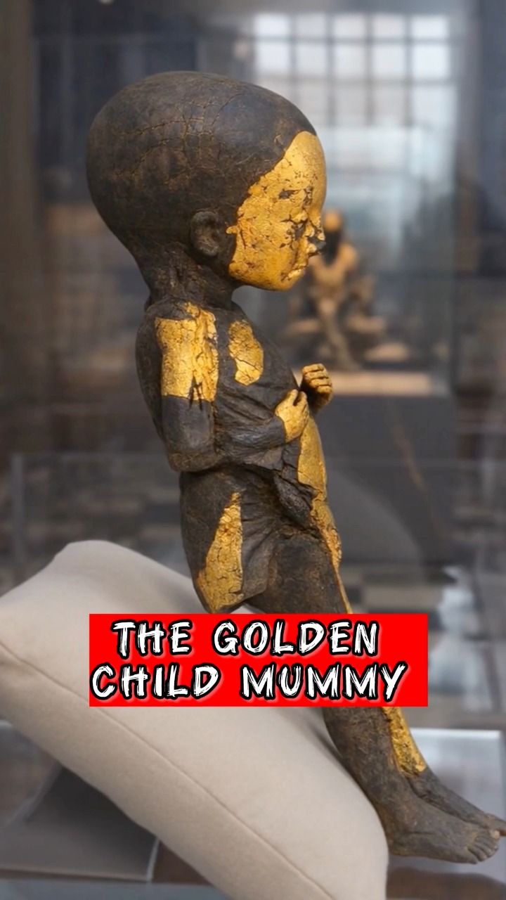 The Golden Child Mummy That Still Shocks the World Few ancient