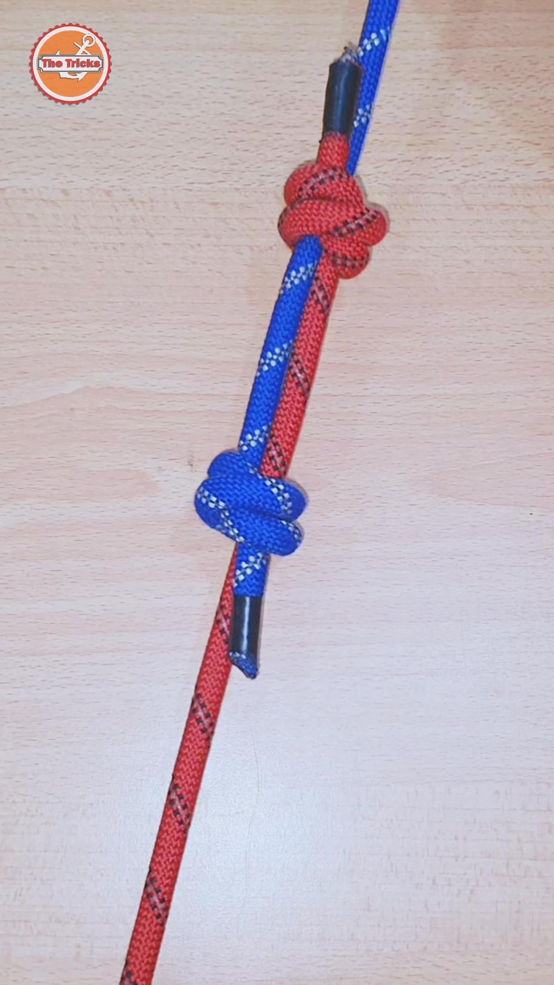 Knots rope tip diy at home ep2900 🇺🇸🪢 #knots #reels #trending #trend # ...