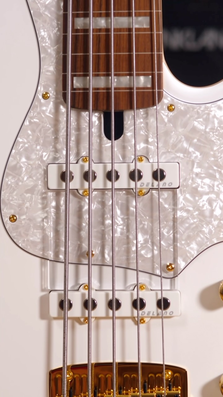 Mayones - Mayones Custom Pi 2 Wojtek Pilichowski Signature Bass. 6
