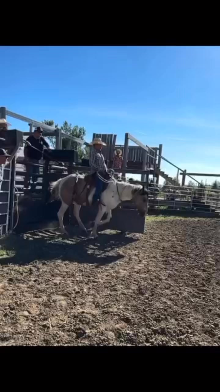 Gunville Rodeo on Reels | Facebook