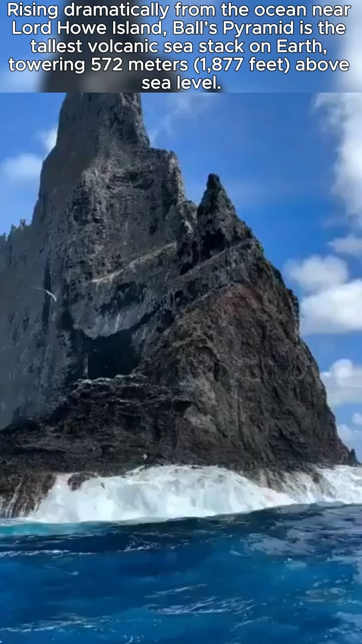 Just off the coast of Australia’s Lord Howe Island stands Ball’s ...