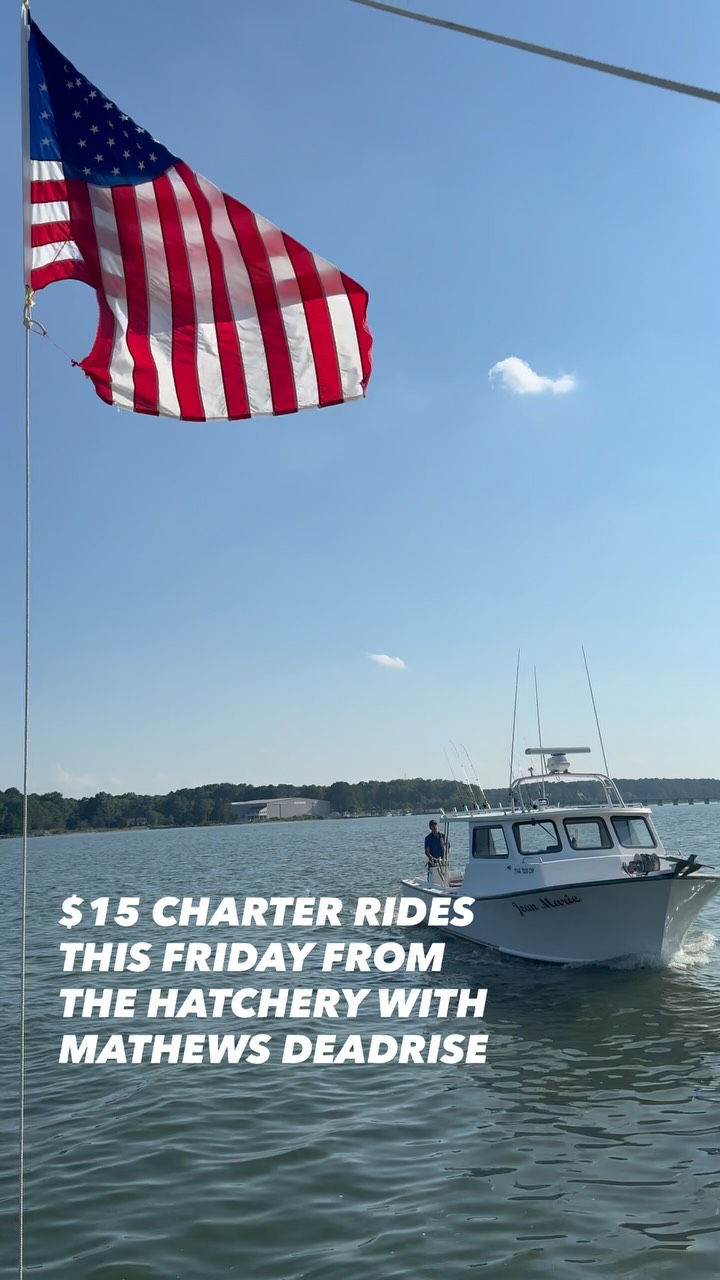 Here’s the scoop: 👉 This Friday during National Oyster Weekend, we’re ...