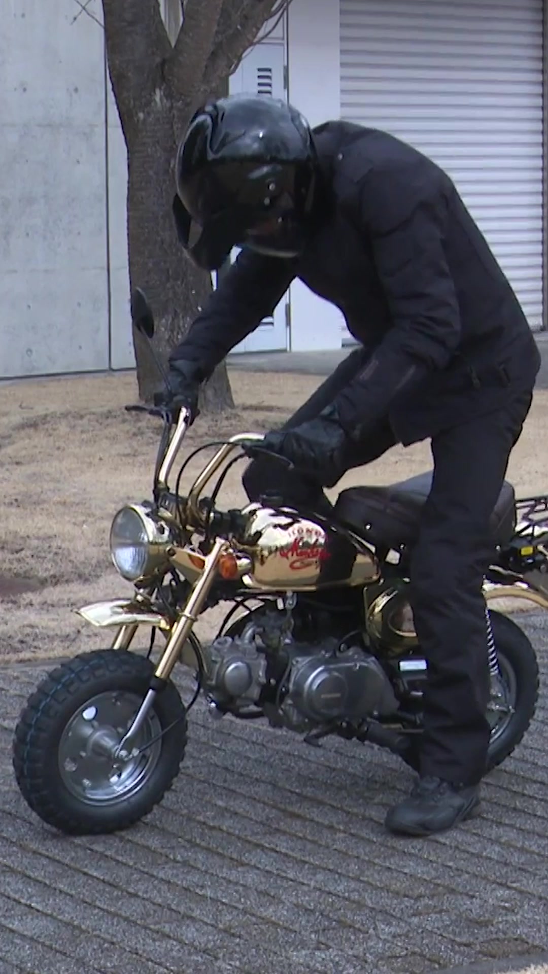 This Gold Monkey is an incredibly rare find, valued at $15,500